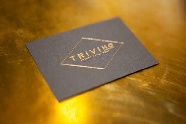 Triviho Hotel Roma